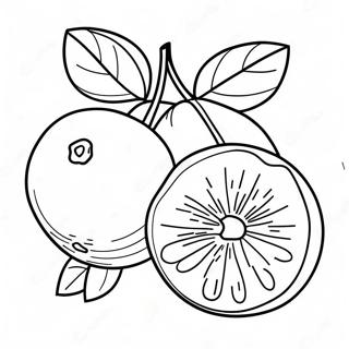 Fenyes Narancssarga Gyumolcs Szinezolap 100855 39352