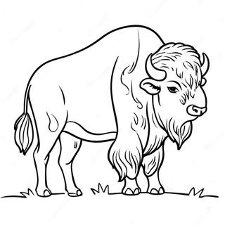 Bivaly Sziluett Szinezolap 107641-44757