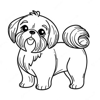 Shih Tzu Szinezolap 112700-48780