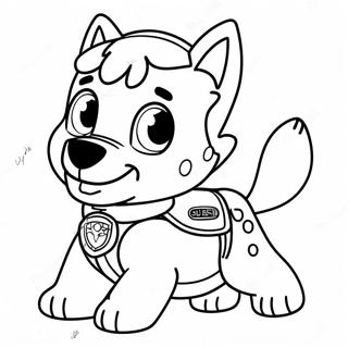 Rocky Paw Patrol Szinezolap 116387-51758