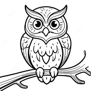 Bolcs Oreg Bagoly Ul A Agon Szinezolap 14707 3215