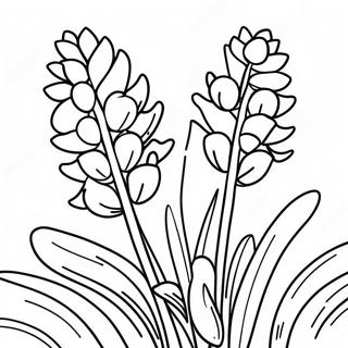 Szines Texas Bluebonnet Szinezolap 46421-10157