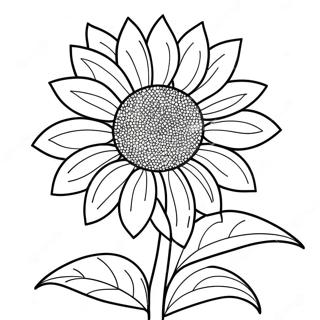 Napraforgó Kifestő Oldalak