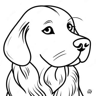 Arany Retriever Szinezolap 67431-14747