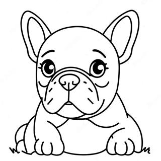 Francia Bulldog Szinezolap 72336-16107