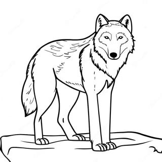 Elegans Sarkvideki Farkas Szinezolap 83345-24677