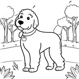 Puhaszoru Goldendoodle A Parkban Szinezolap 85519 26454